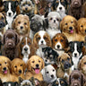 Multi Packed Dogs - 1/2 Yard Increments, Cut Continuously - by Keith Kimberlin for Elizabeths Studio