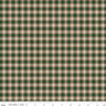 Plaid-Venture Club Scout in Forest - 1/2 Yard Increments, Cut Continuously - by Riley Blake Designs