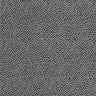 Graphite Garden Pindot - 1/2 Yard Increments, Cut Continuously - by Michael Miller