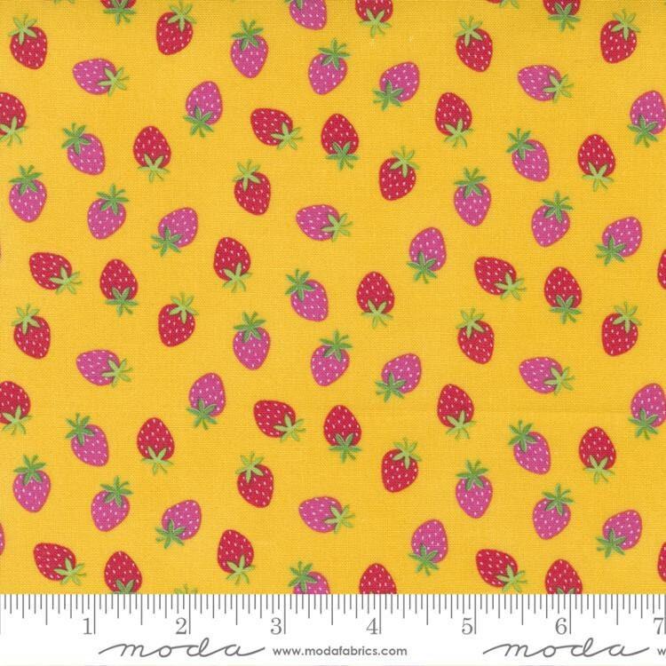 Rainbow Garden in Sunshine - 1/2 Yard Increments, Cut Continuously - by Abi Hall for Moda Fabrics