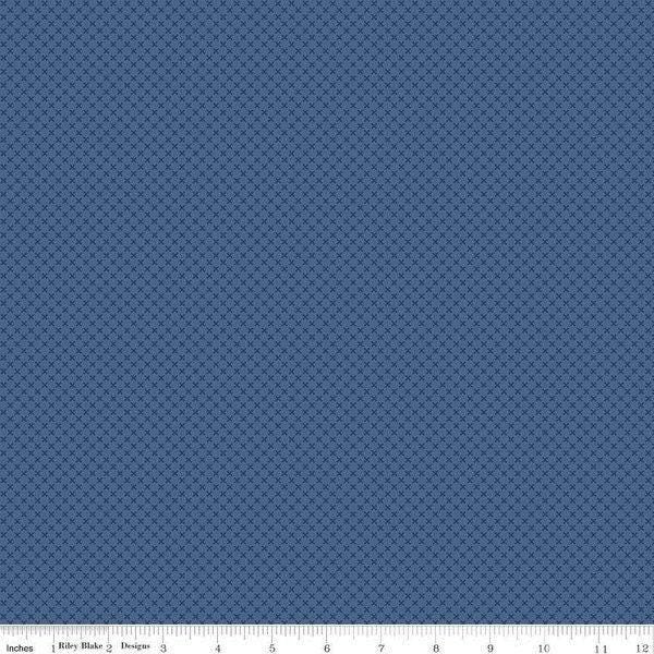 Denim Kisses - 1/2 Yard Increments, Cut Continuously - by Doodlebug Design for Riley Blake Designs