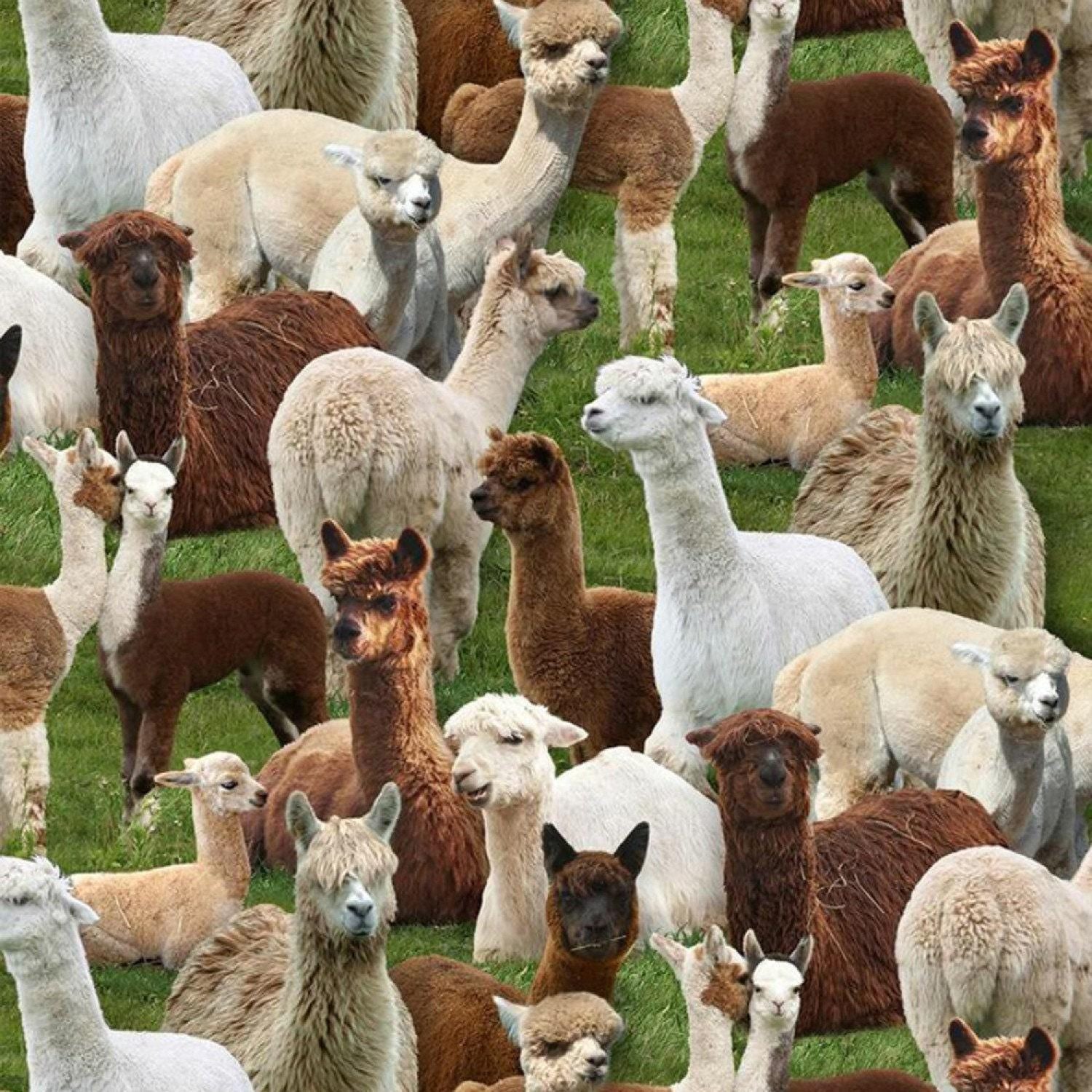 Green Alpacas - 1/2 Yard Increments, Cut Continuously - by Keith Kimberlin for Elizabeths Studio