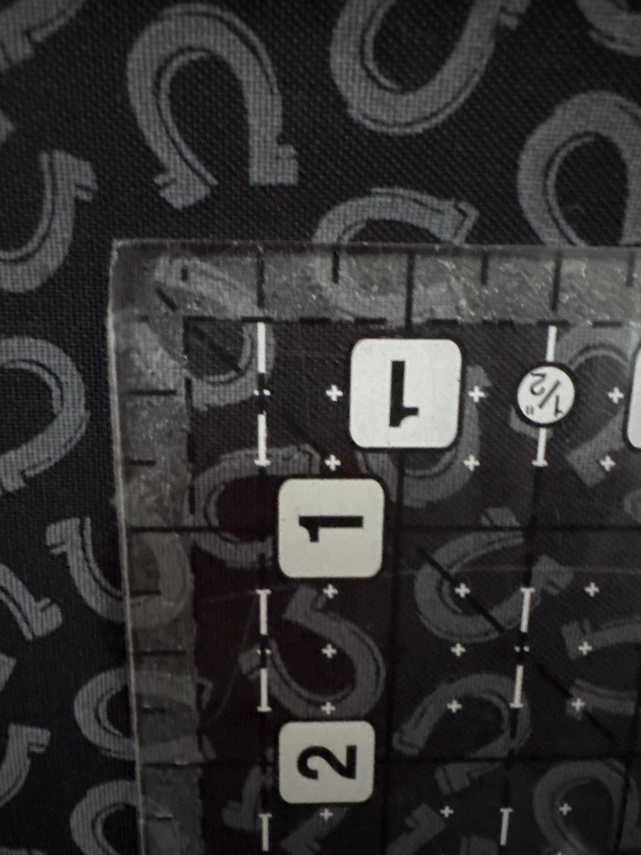 Quilting Illusions Horseshoes - 1/2 Yard Increments, Cut Continuously - by QT Fabrics