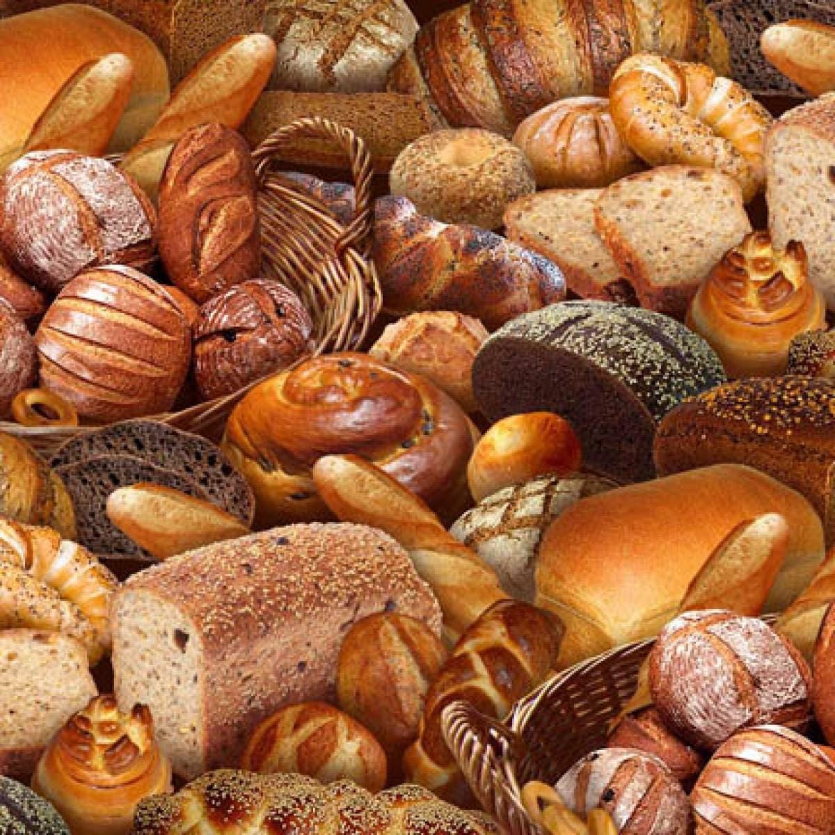 Multi Bread - 1/2 Yard Increments, Cut Continuously - by Elizabeths Studio