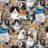 Multi Packed Kittens - 1/2 Yard Increments, Cut Continuously - by Keith Kimberlin for Elizabeths Studio