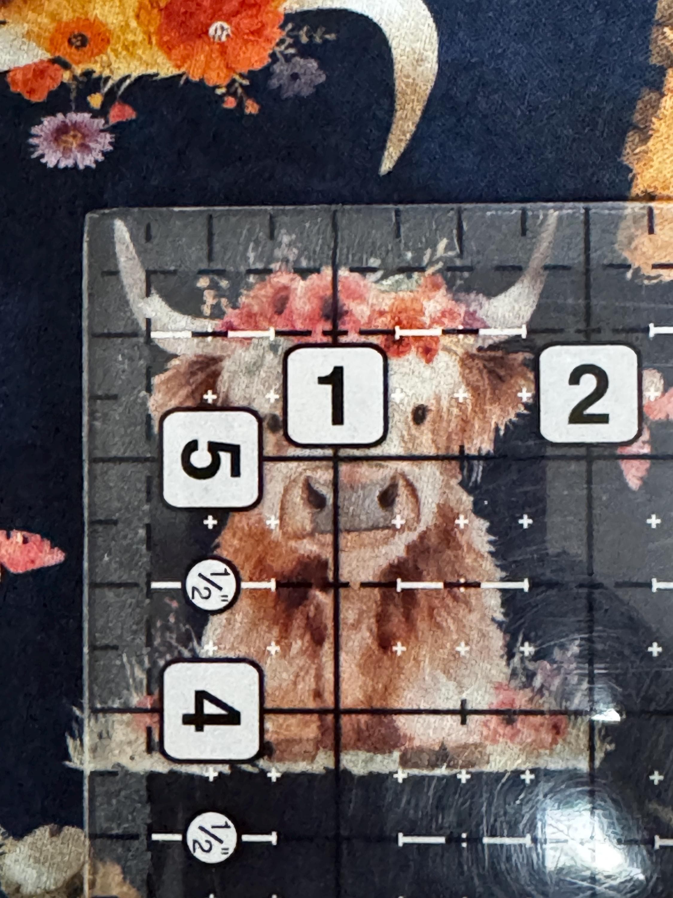 QT Cuties 2 Baby Highland Cows in Navy - 1/2 Yard Increments, Cut Continuously - by Morris Creative Group for QT Fabrics