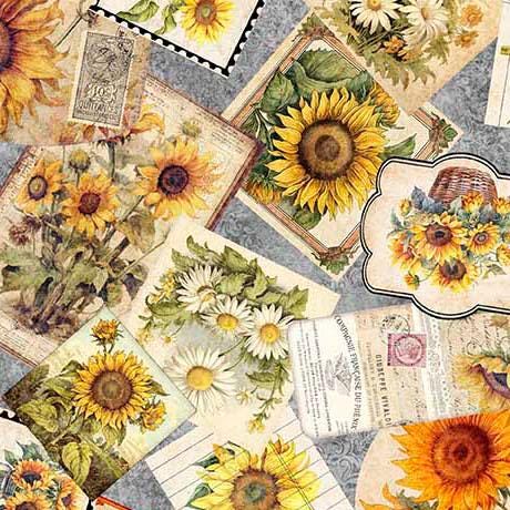 Sunflower Serenade Sunflower Ephemera in Gray - 1/2 Yard Increments, Cut Continuously - by Morris Creative Group for QT Fabrics