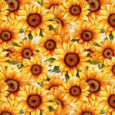 Sunflower Serenade Packed Sunflowers in White - 1/2 Yard Increments, Cut Continuously - by Morris Creative Group for QT Fabrics